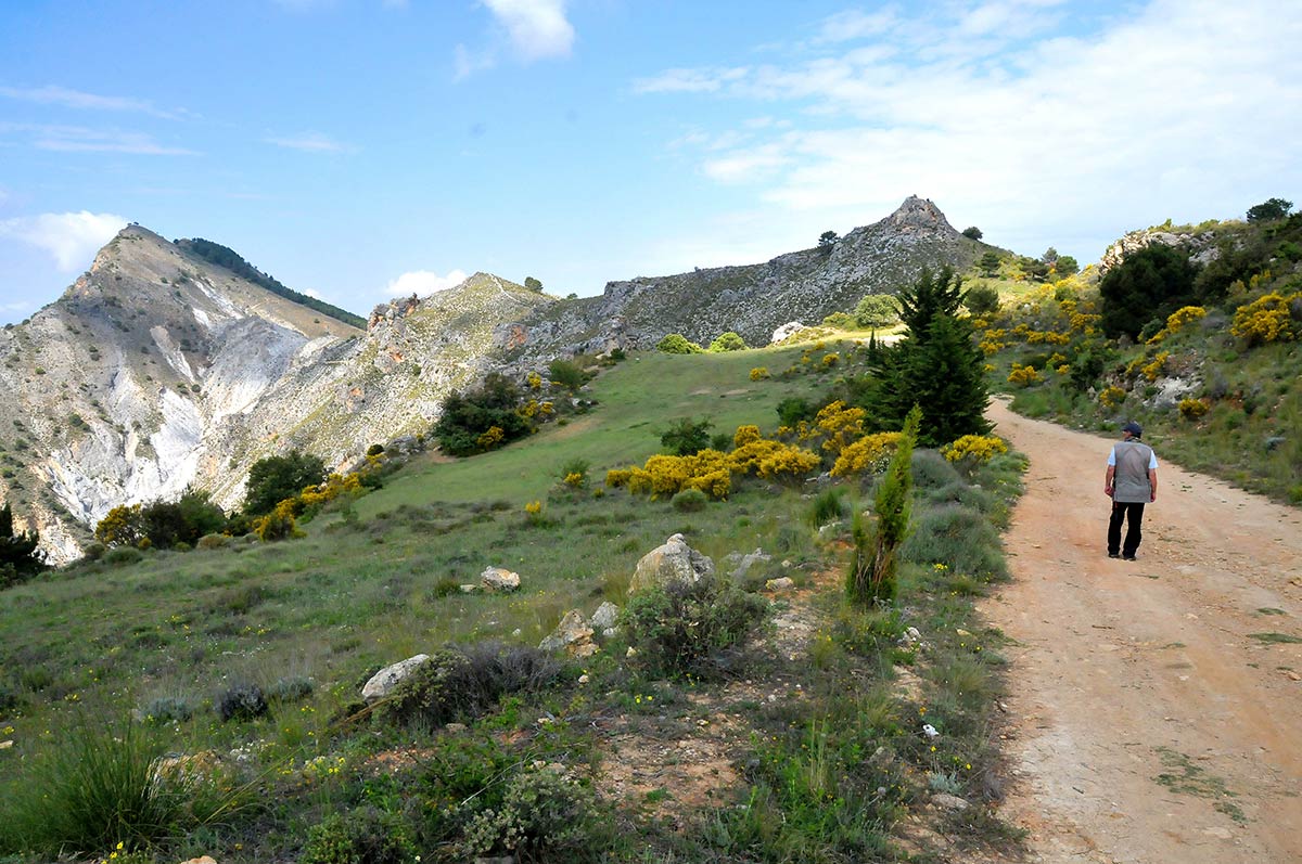 Sendero de Haza Larguilla 
