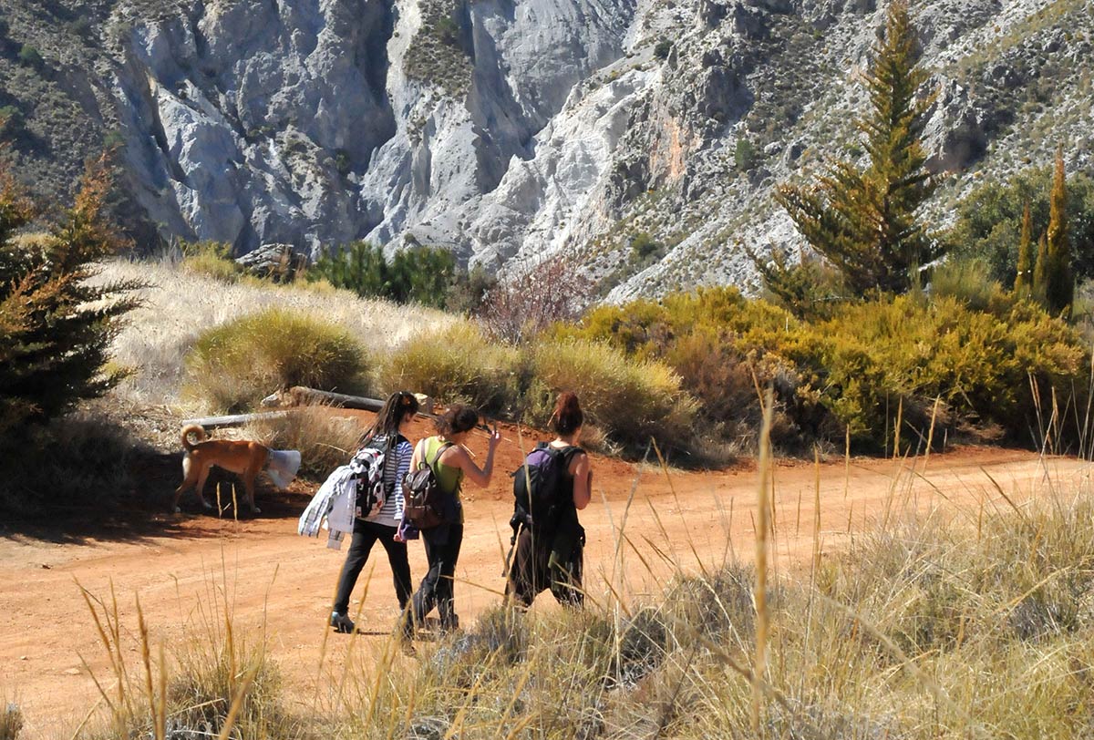 Sendero de Haza Larguilla 