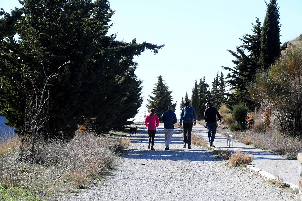 Sendero de Haza Larguilla 