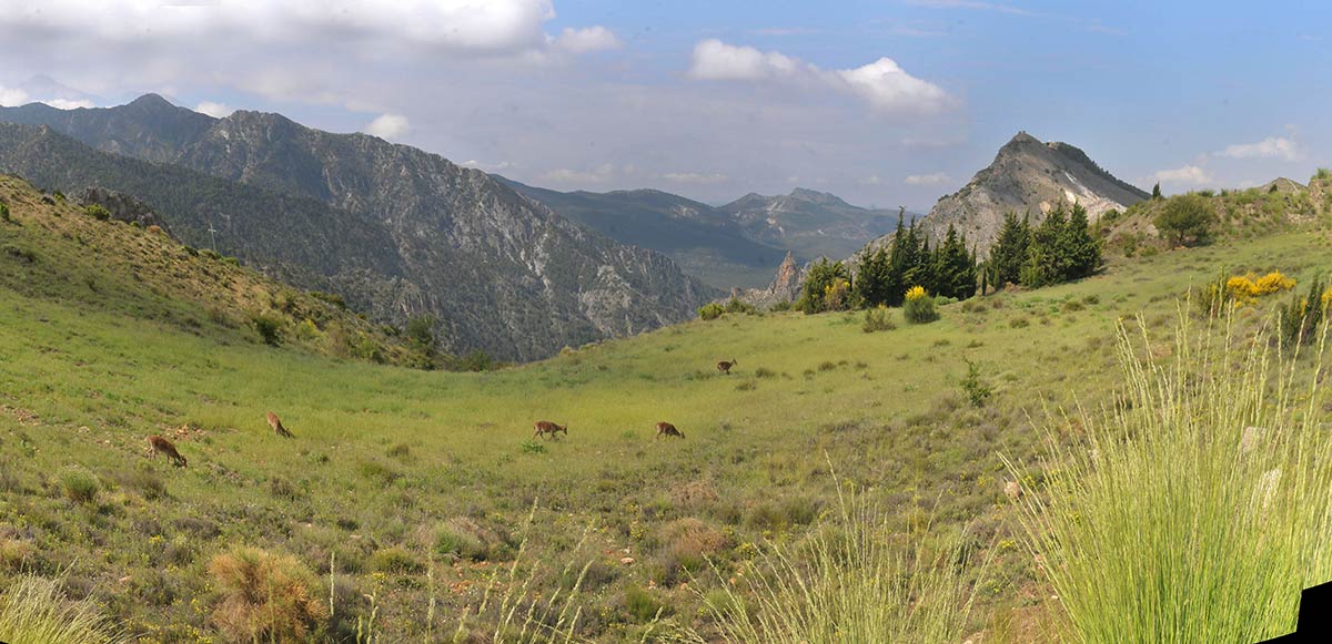Sendero de Haza Larguilla 