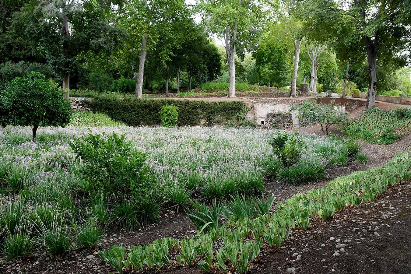 El Carmen de los Catalanes, jardines y estanques en peña Partida a la vista de la Alhambra 