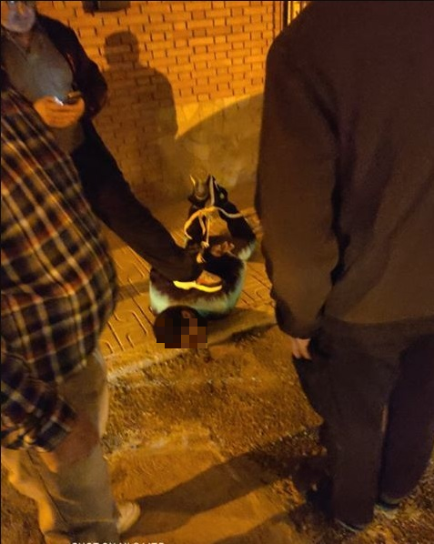 Los presuntos ladrones abandonaron el automóvil y huyeron a pie. Los vecinos corrieron tras ellos y se inició una intensa persecución