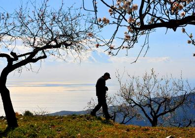 Imagen secundaria 1 - Primeros paseos entre los almendros en flor de Granada