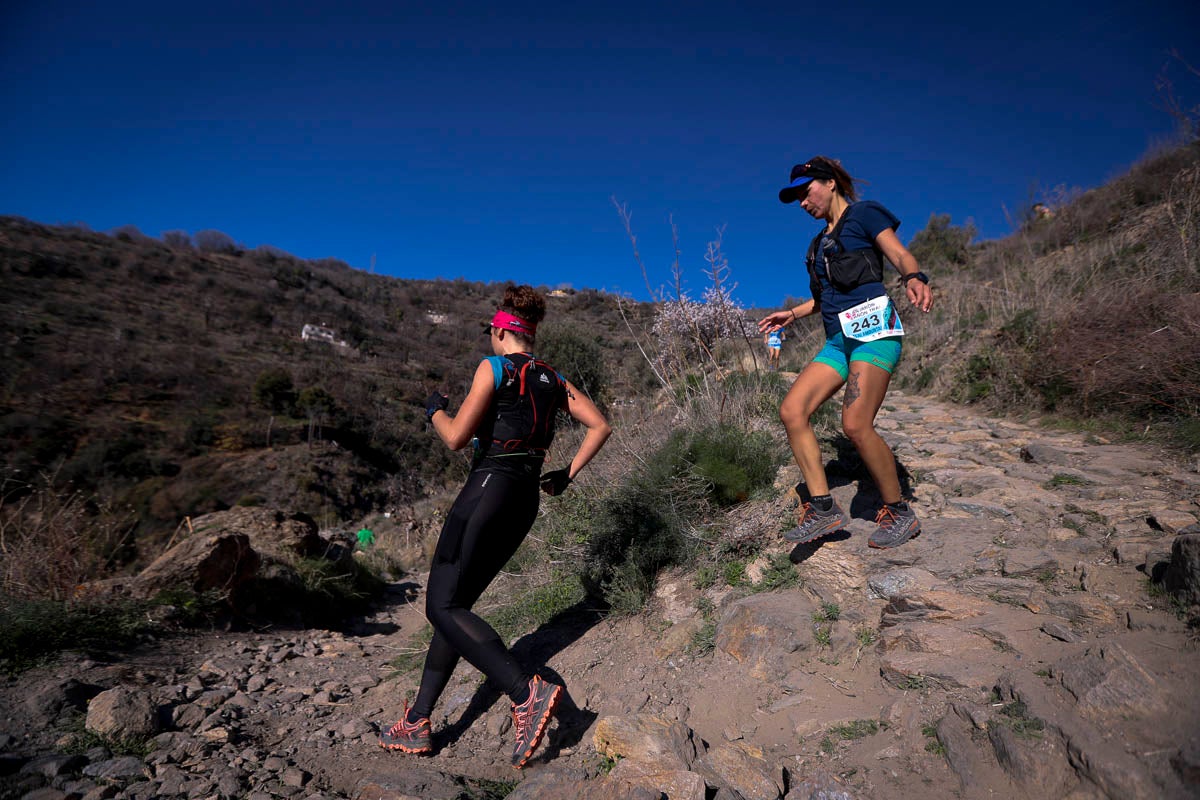 Si has participado en la carrera te puedes buscar aquí