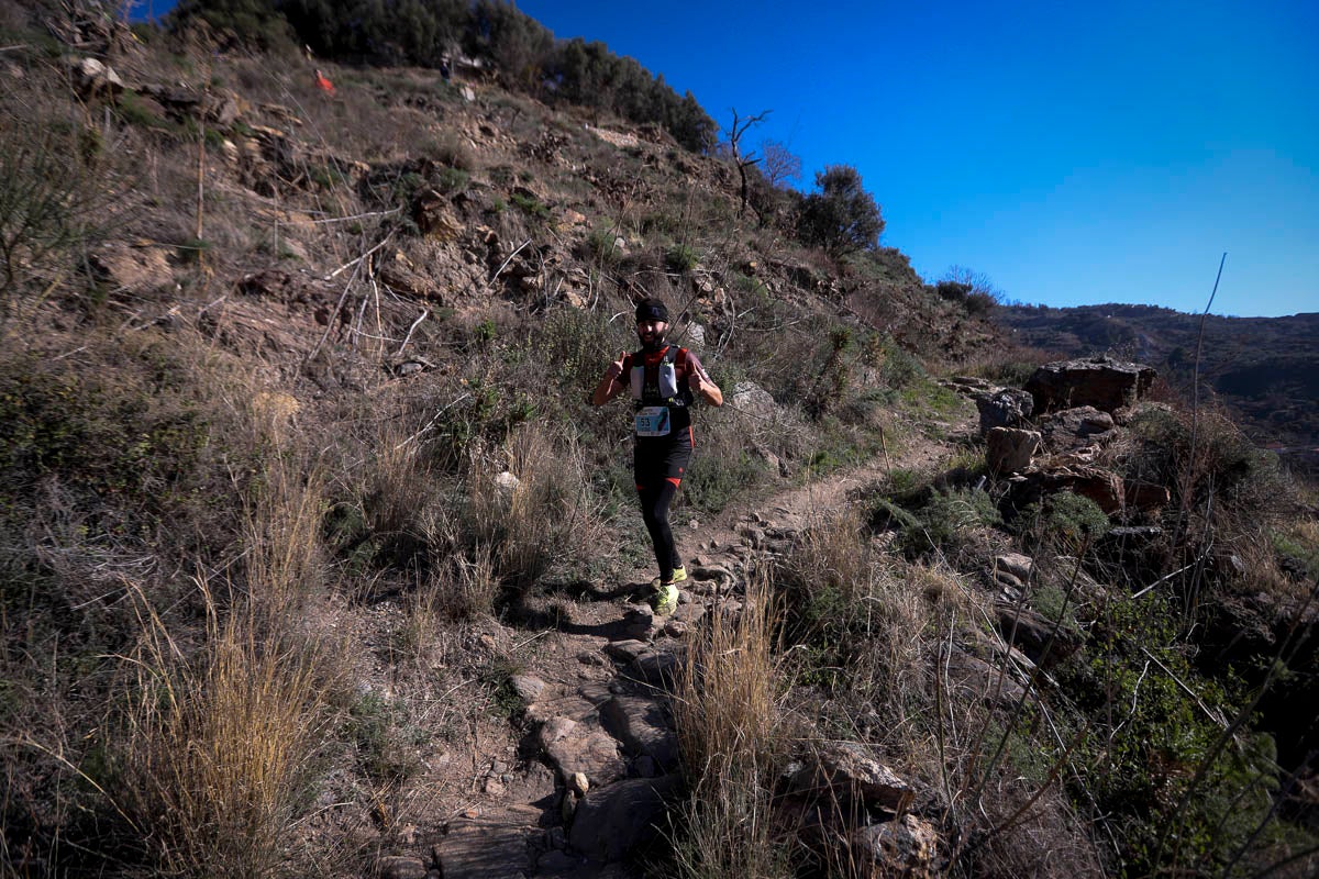 Si has participado en la carrera te puedes buscar aquí