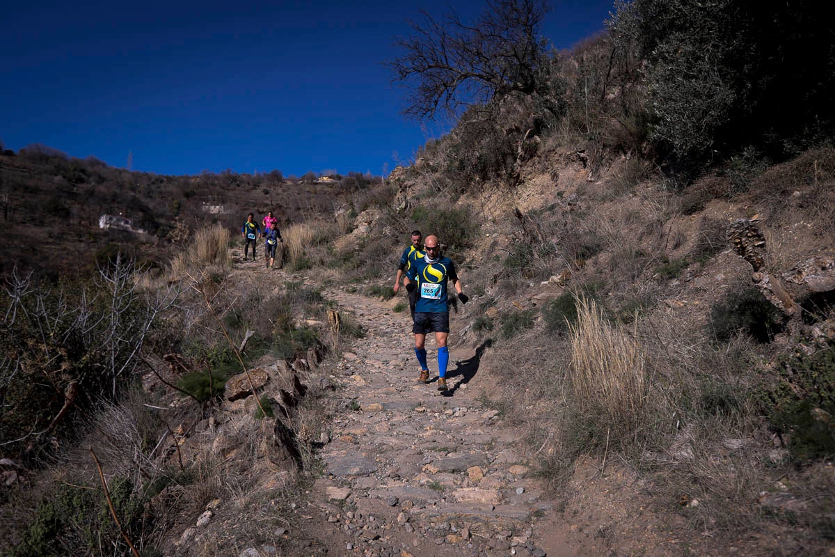 Si has participado en la carrera te puedes buscar aquí