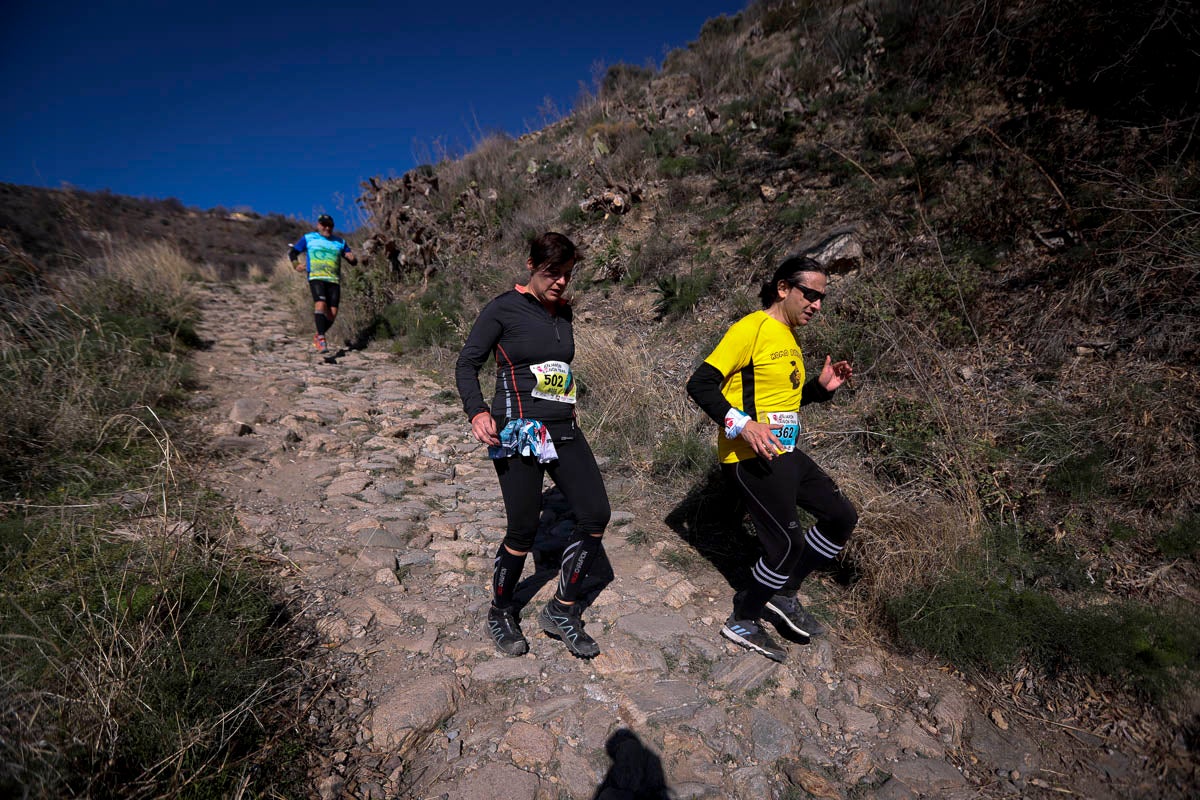 Si has participado en la carrera te puedes buscar aquí