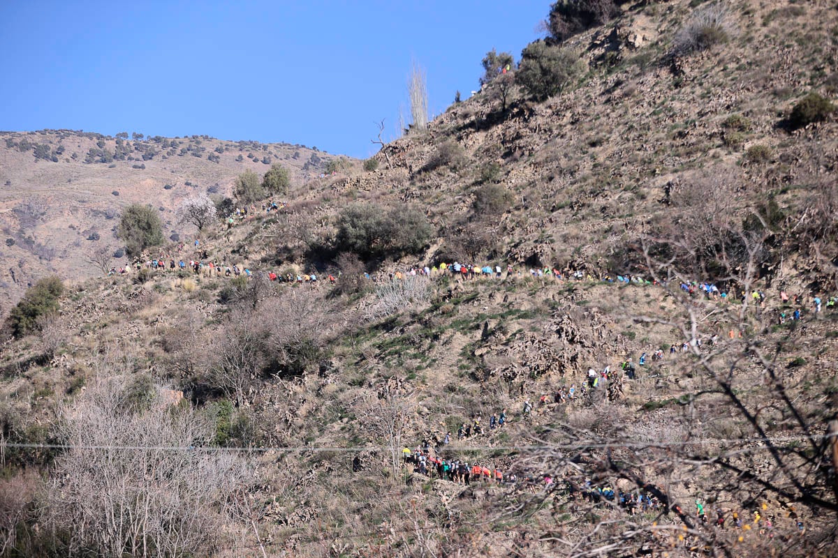 Si has participado en la carrera te puedes buscar aquí