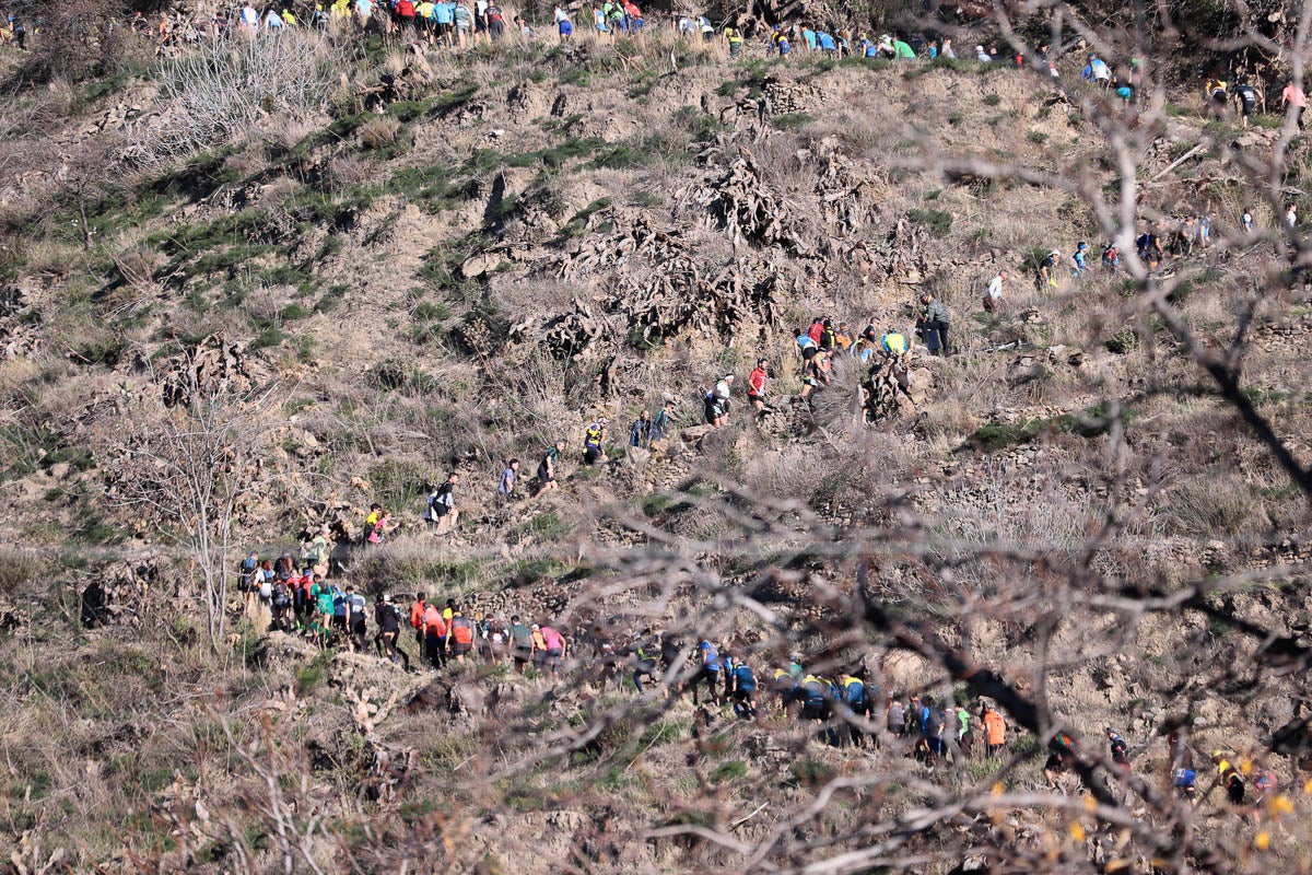 Si has participado en la carrera te puedes buscar aquí