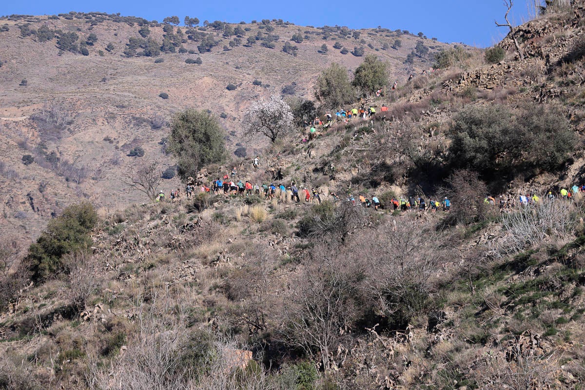 Si has participado en la carrera te puedes buscar aquí