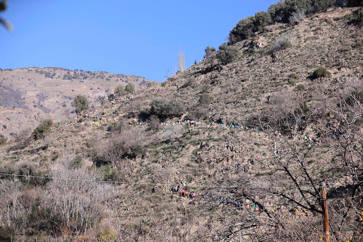 Si has participado en la carrera te puedes buscar aquí