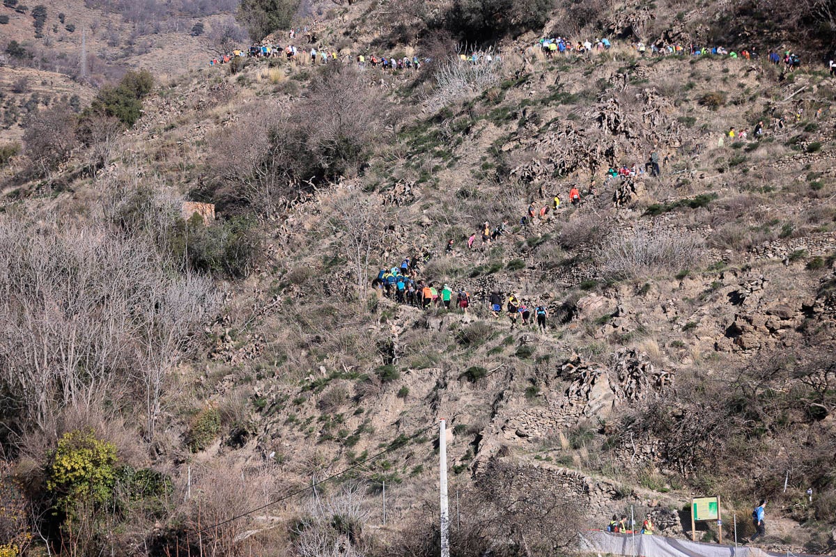 Si has participado en la carrera te puedes buscar aquí