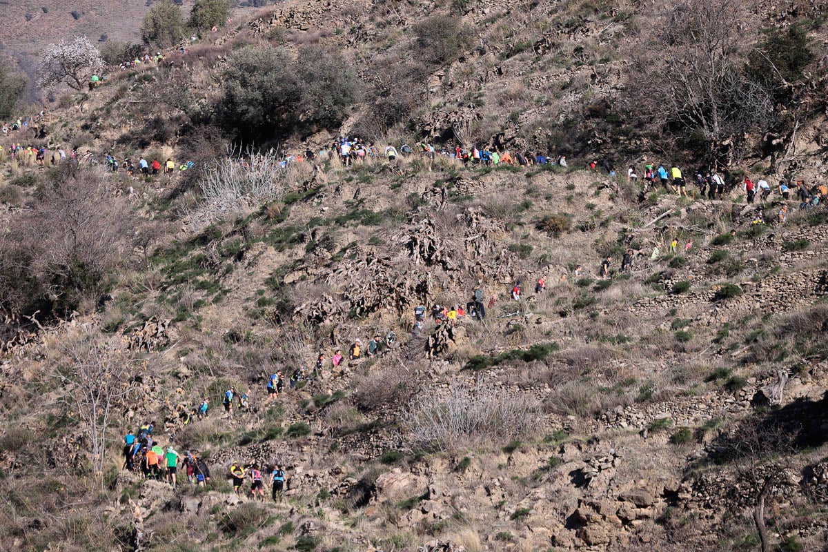 Si has participado en la carrera te puedes buscar aquí