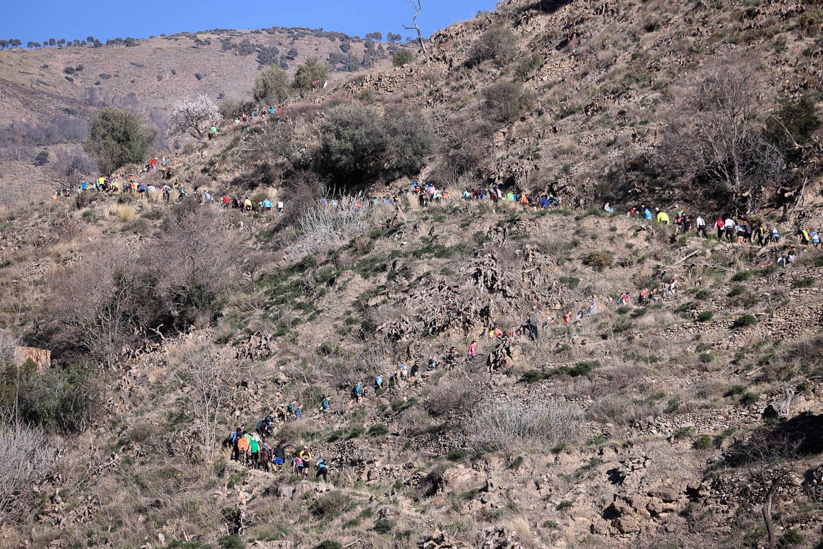Si has participado en la carrera te puedes buscar aquí
