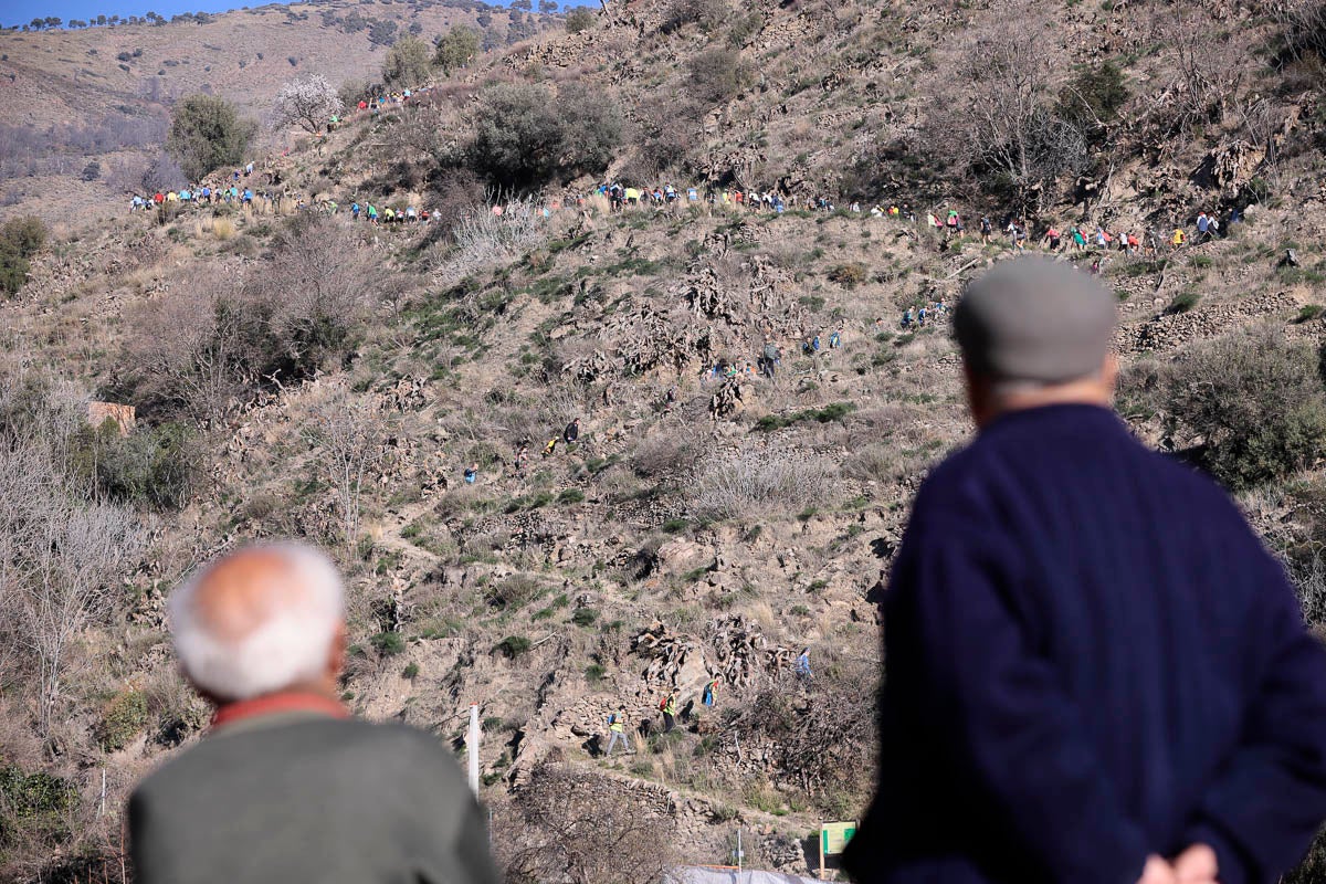 Si has participado en la carrera te puedes buscar aquí
