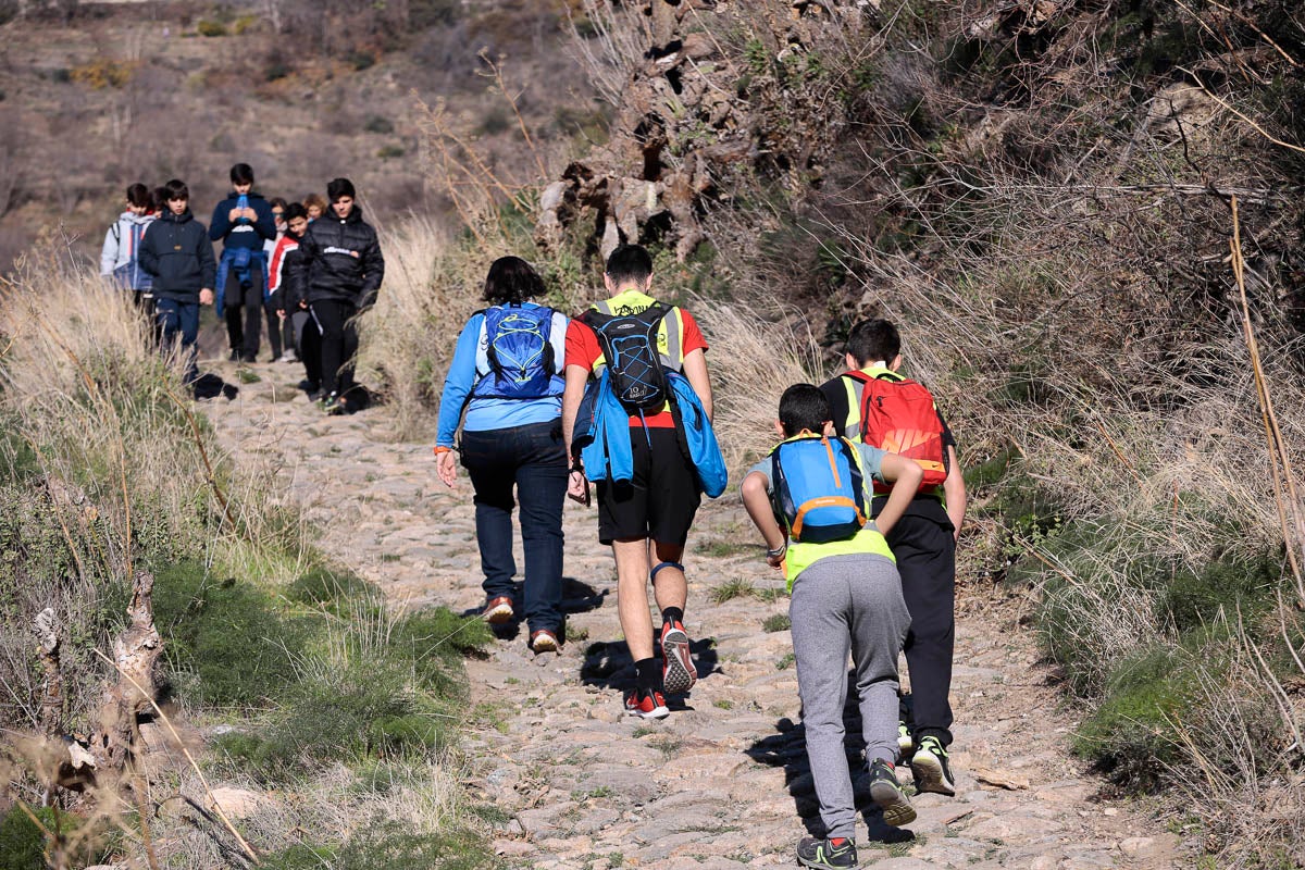 Si has participado en la carrera te puedes buscar aquí