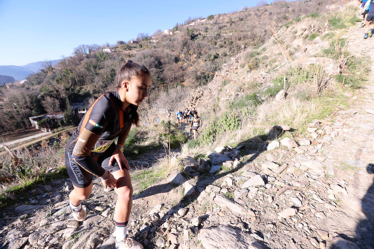 Si has participado en la carrera te puedes buscar aquí