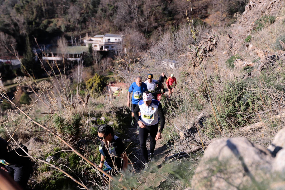 Si has participado en la carrera te puedes buscar aquí