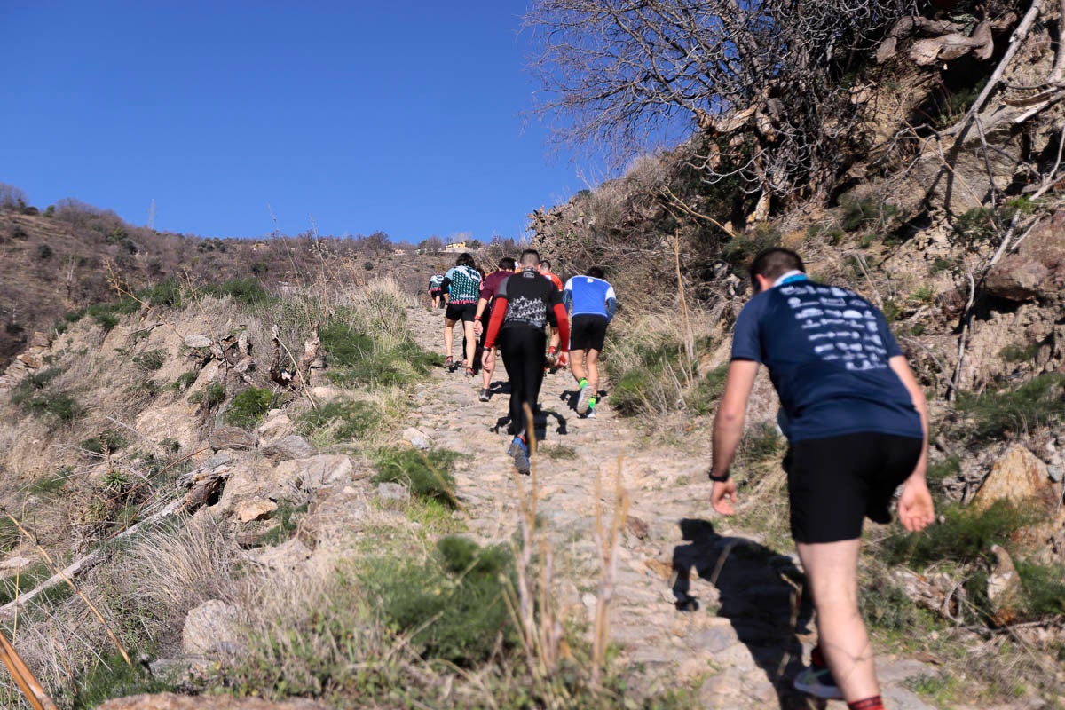 Si has participado en la carrera te puedes buscar aquí