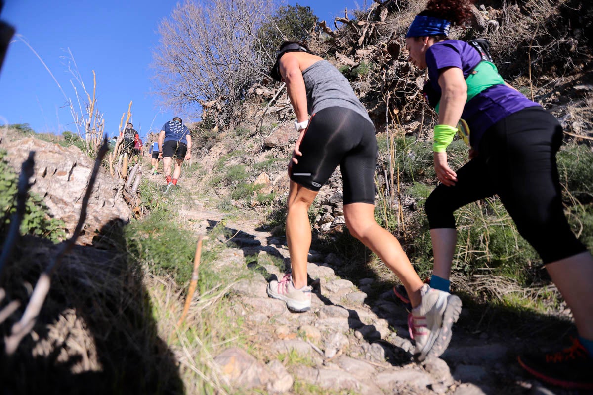Si has participado en la carrera te puedes buscar aquí