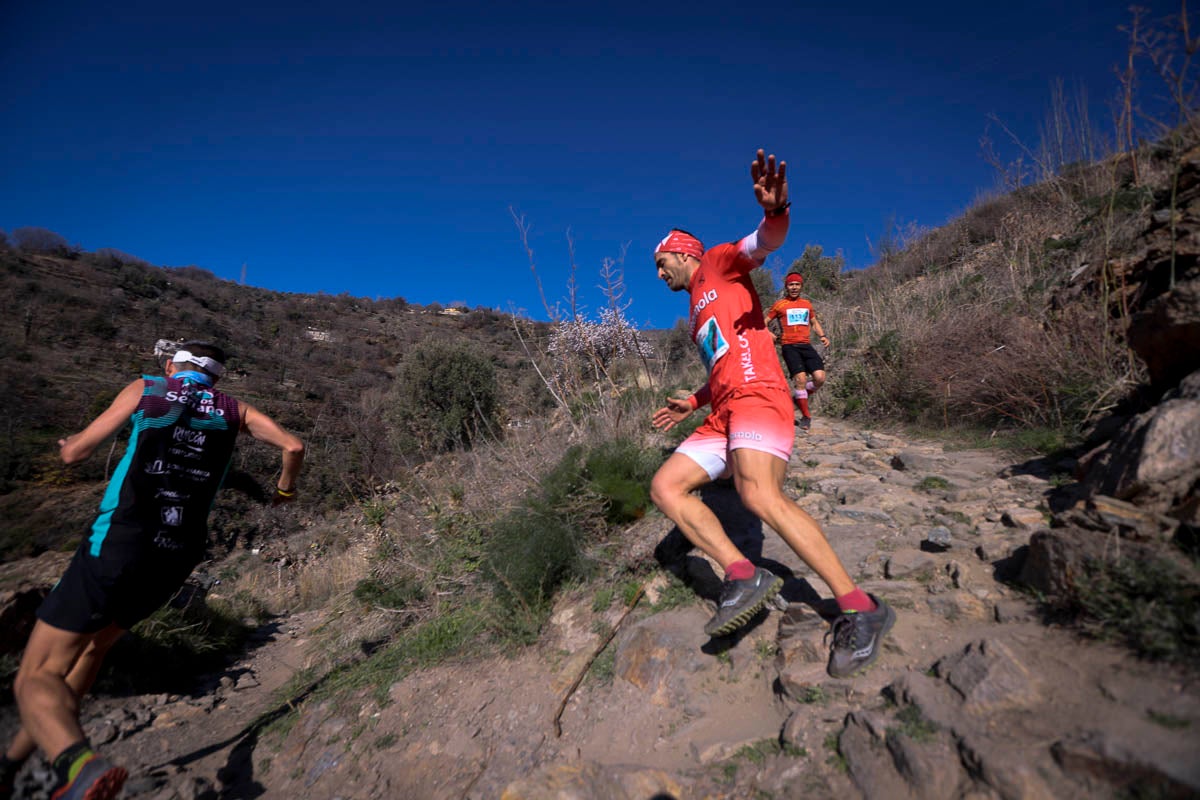 Si has participado en la carrera te puedes buscar aquí