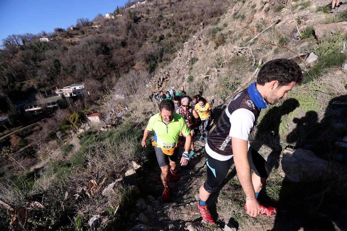 Si has participado en la carrera te puedes buscar aquí