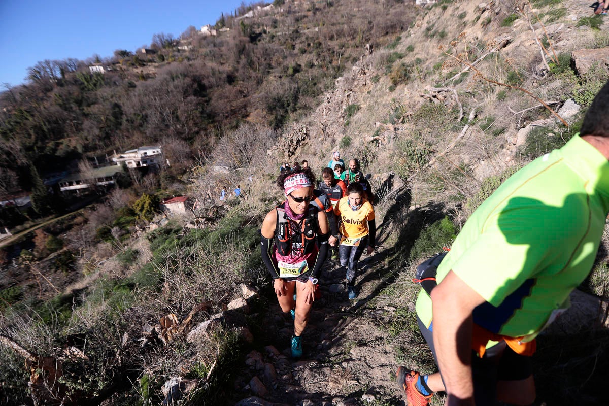 Si has participado en la carrera te puedes buscar aquí