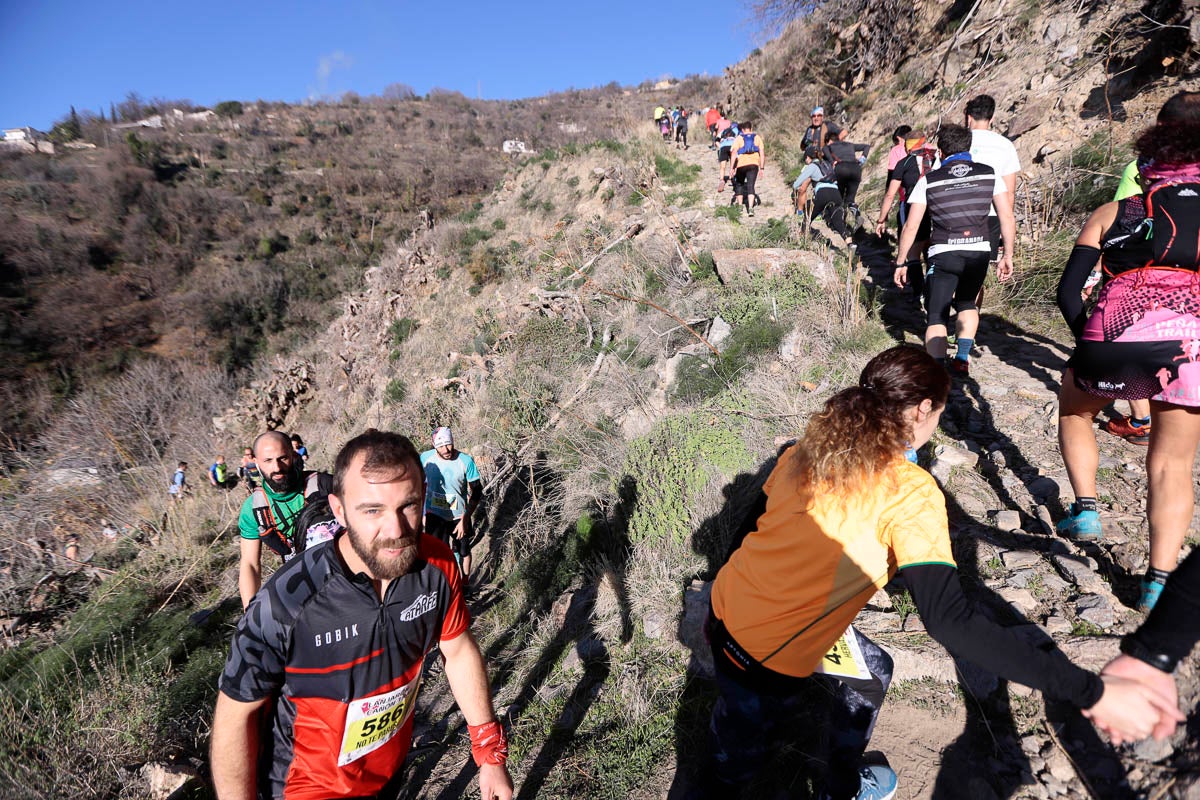 Si has participado en la carrera te puedes buscar aquí