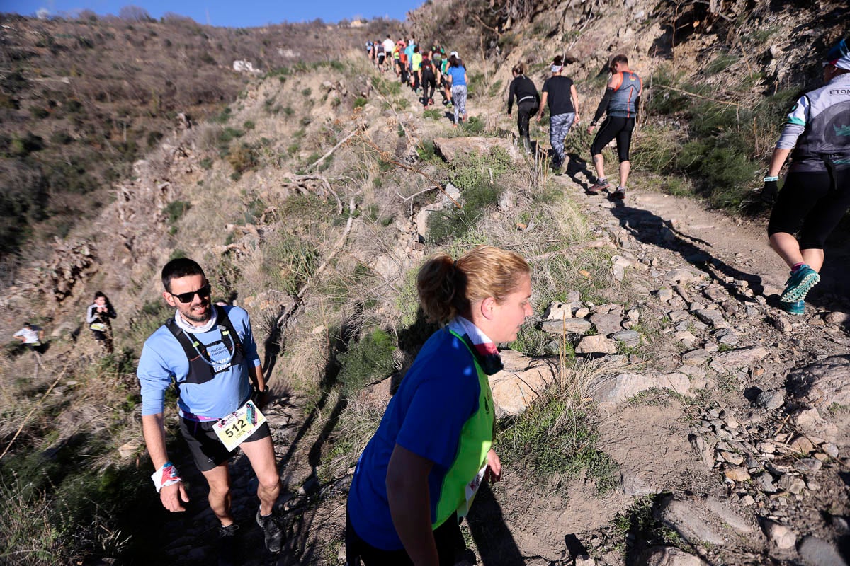 Si has participado en la carrera te puedes buscar aquí