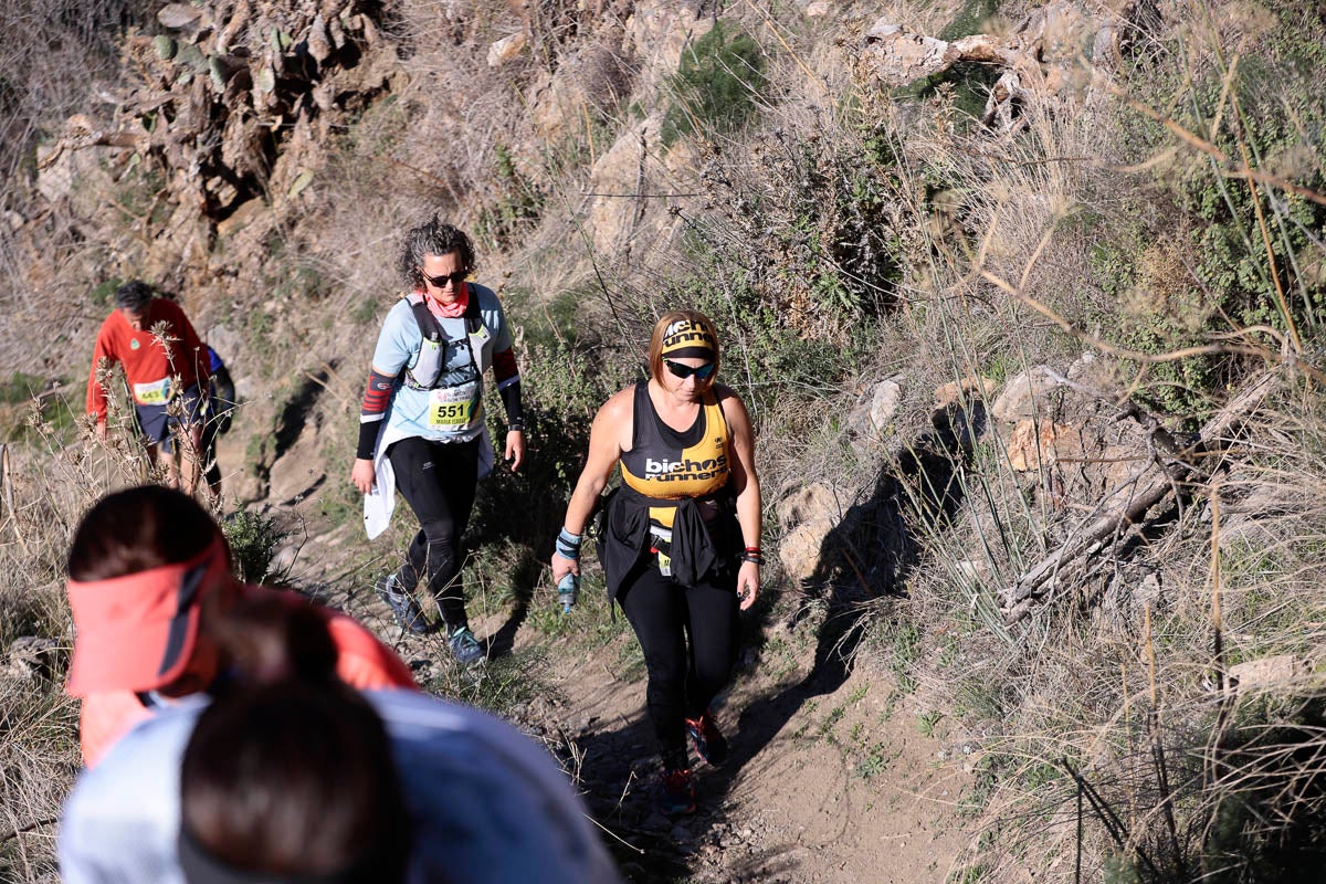 Si has participado en la carrera te puedes buscar aquí