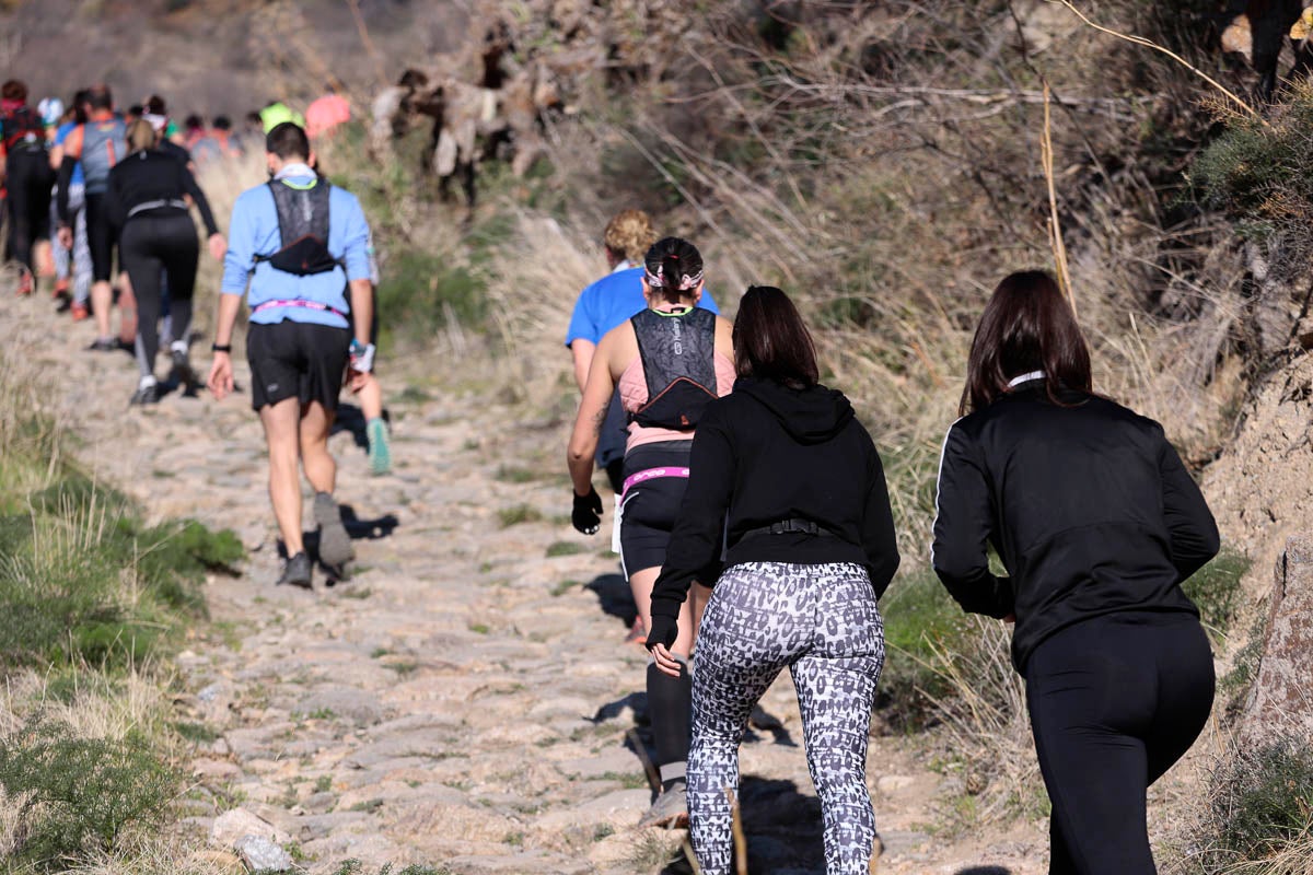 Si has participado en la carrera te puedes buscar aquí