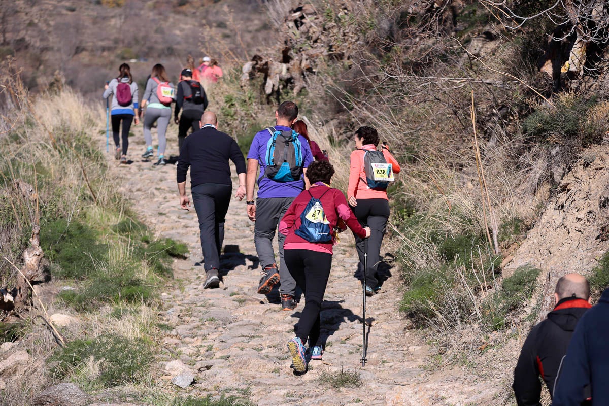 Si has participado en la carrera te puedes buscar aquí