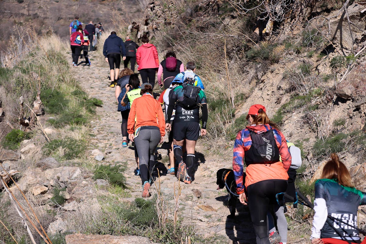 Si has participado en la carrera te puedes buscar aquí