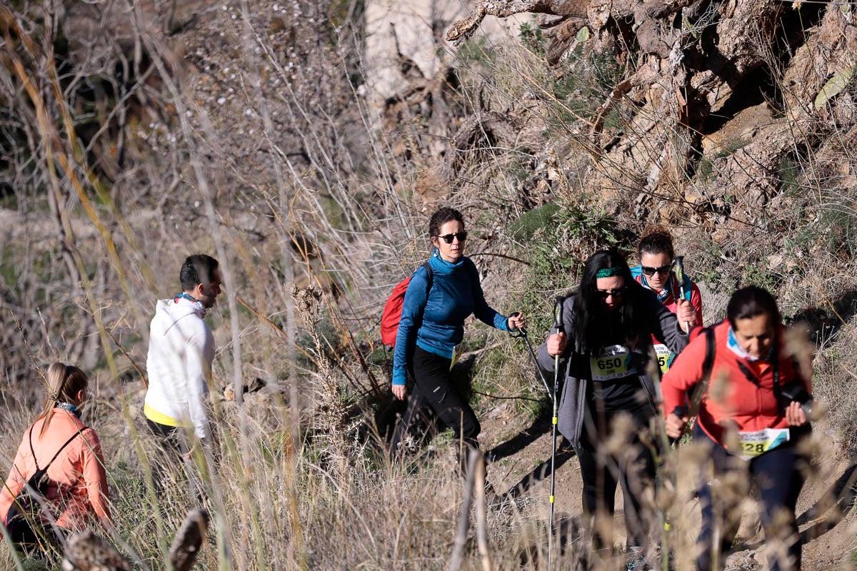Si has participado en la carrera te puedes buscar aquí