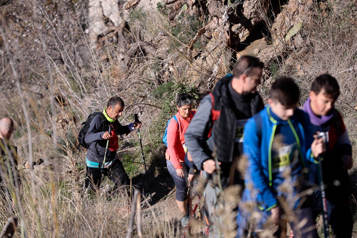 Si has participado en la carrera te puedes buscar aquí