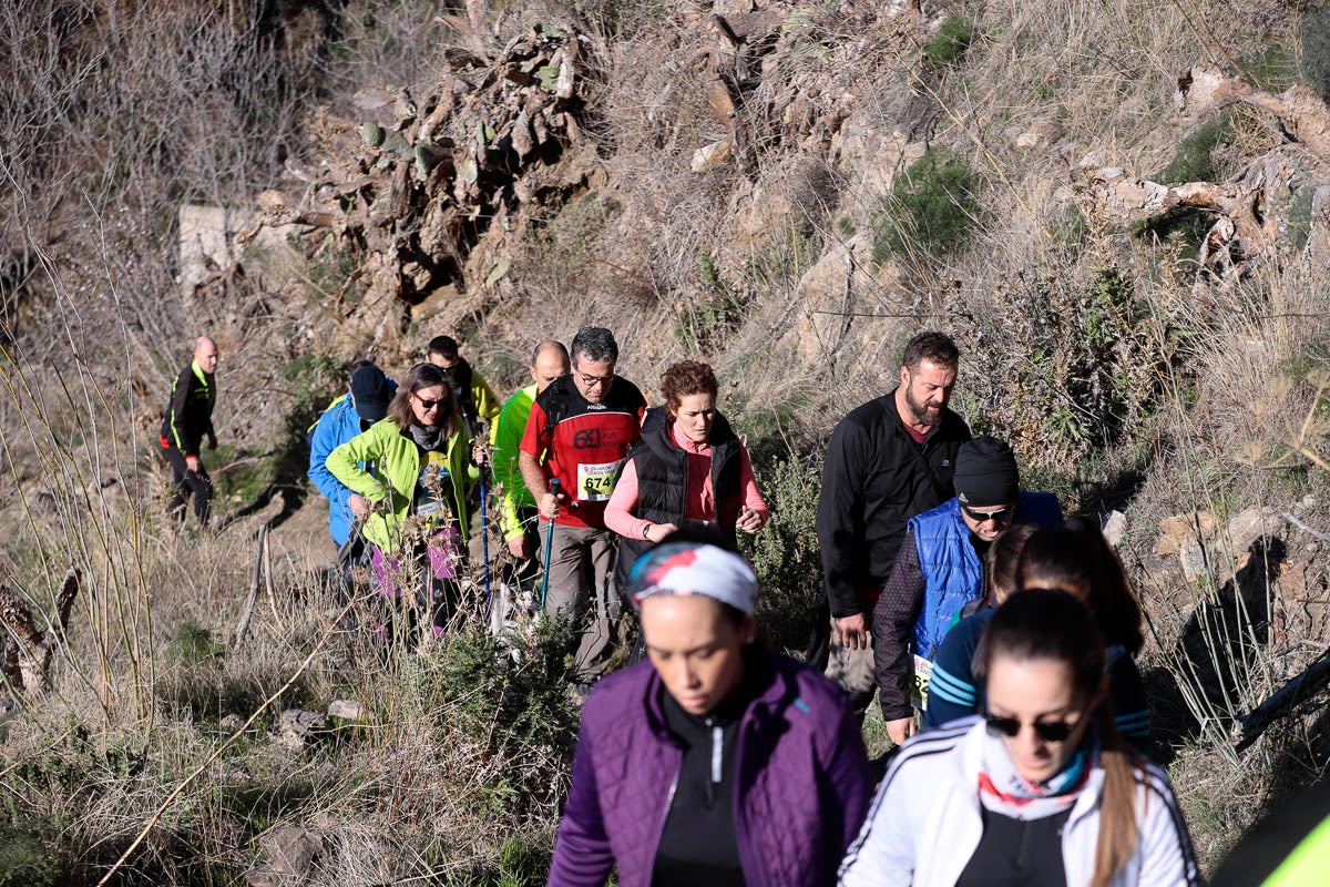 Si has participado en la carrera te puedes buscar aquí