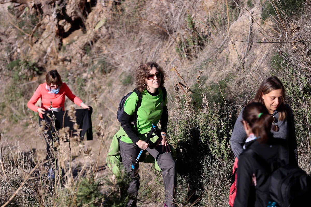 Si has participado en la carrera te puedes buscar aquí