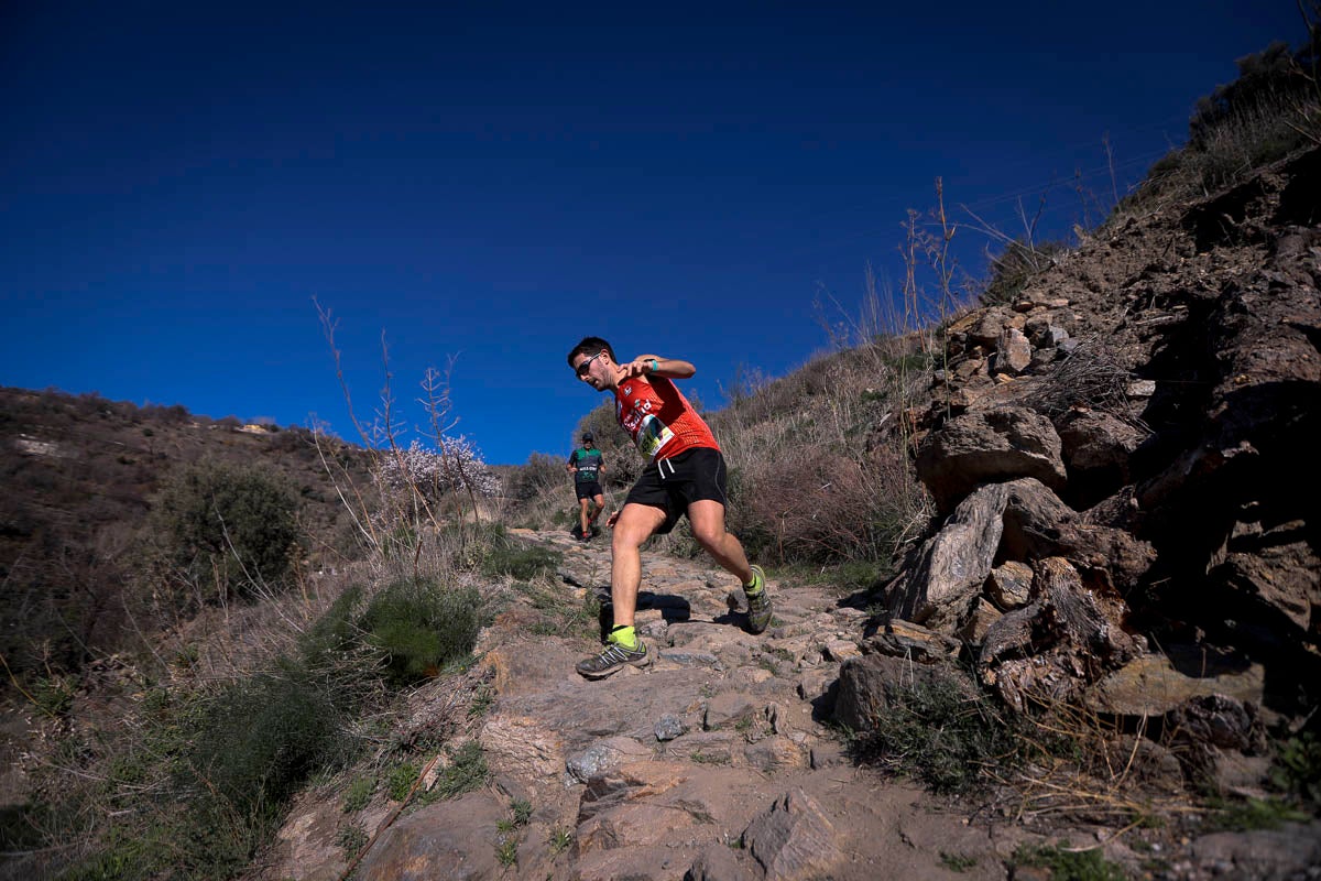 Si has participado en la carrera te puedes buscar aquí