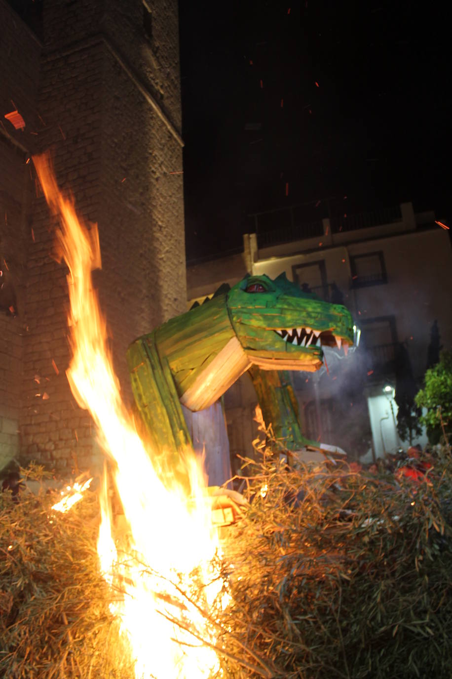 La noche del 16 de enero, la de San Antón, es siempre de tradición en Jaén, pero este año, lo ha sido un poco más, ya que hubo nueve lumbres, además de la oficial