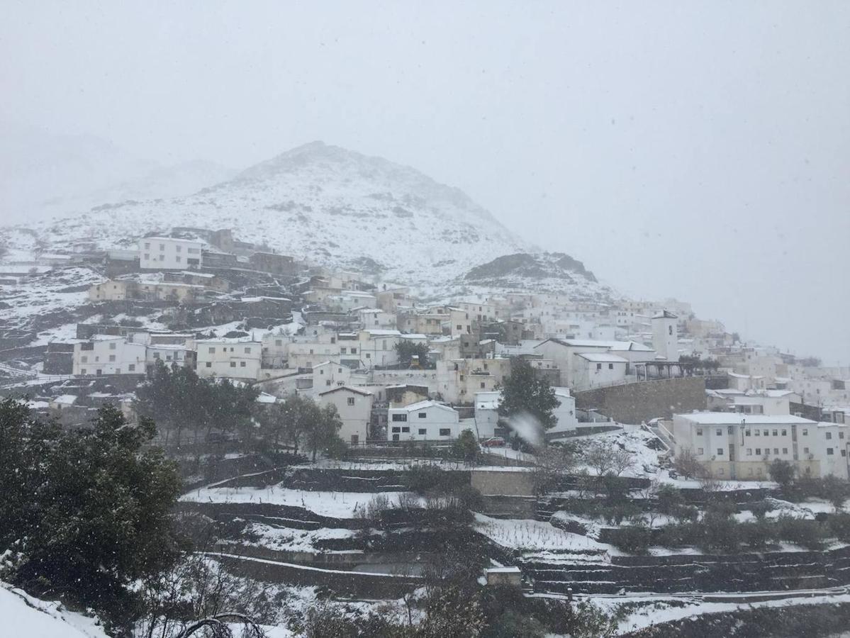 Almería se tiñe de blanco.