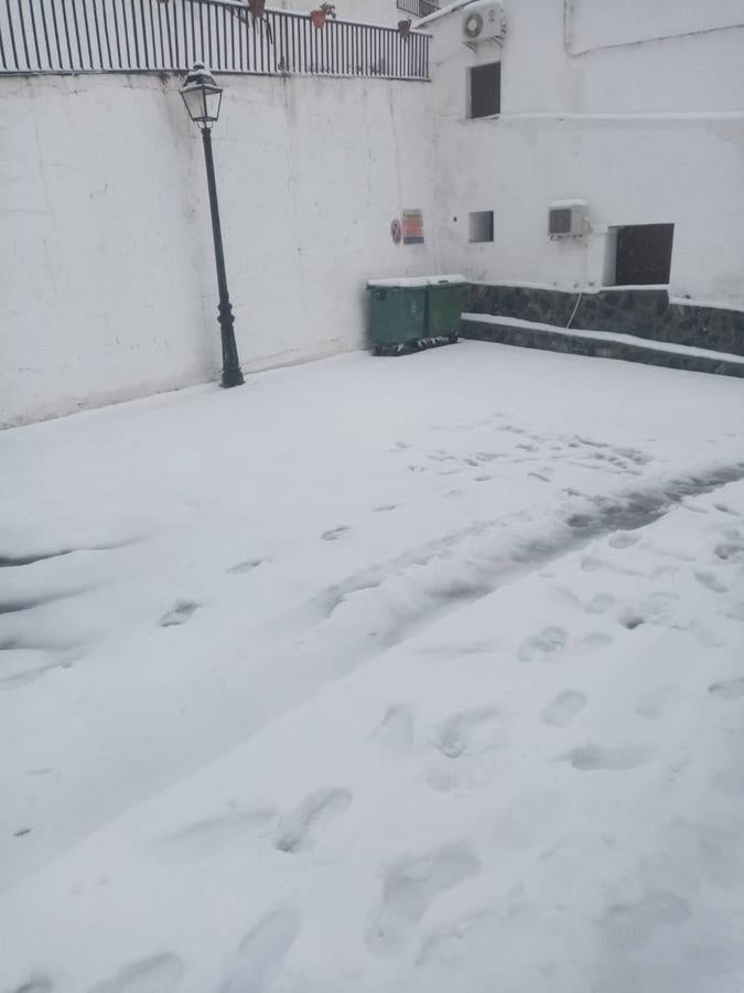 Almería se tiñe de blanco.