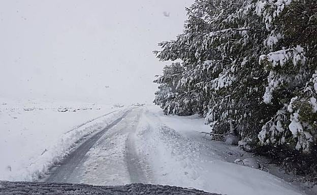Imagen principal - Algunas instantáneas que ha dejado tras de si la borrasca en Almería. 