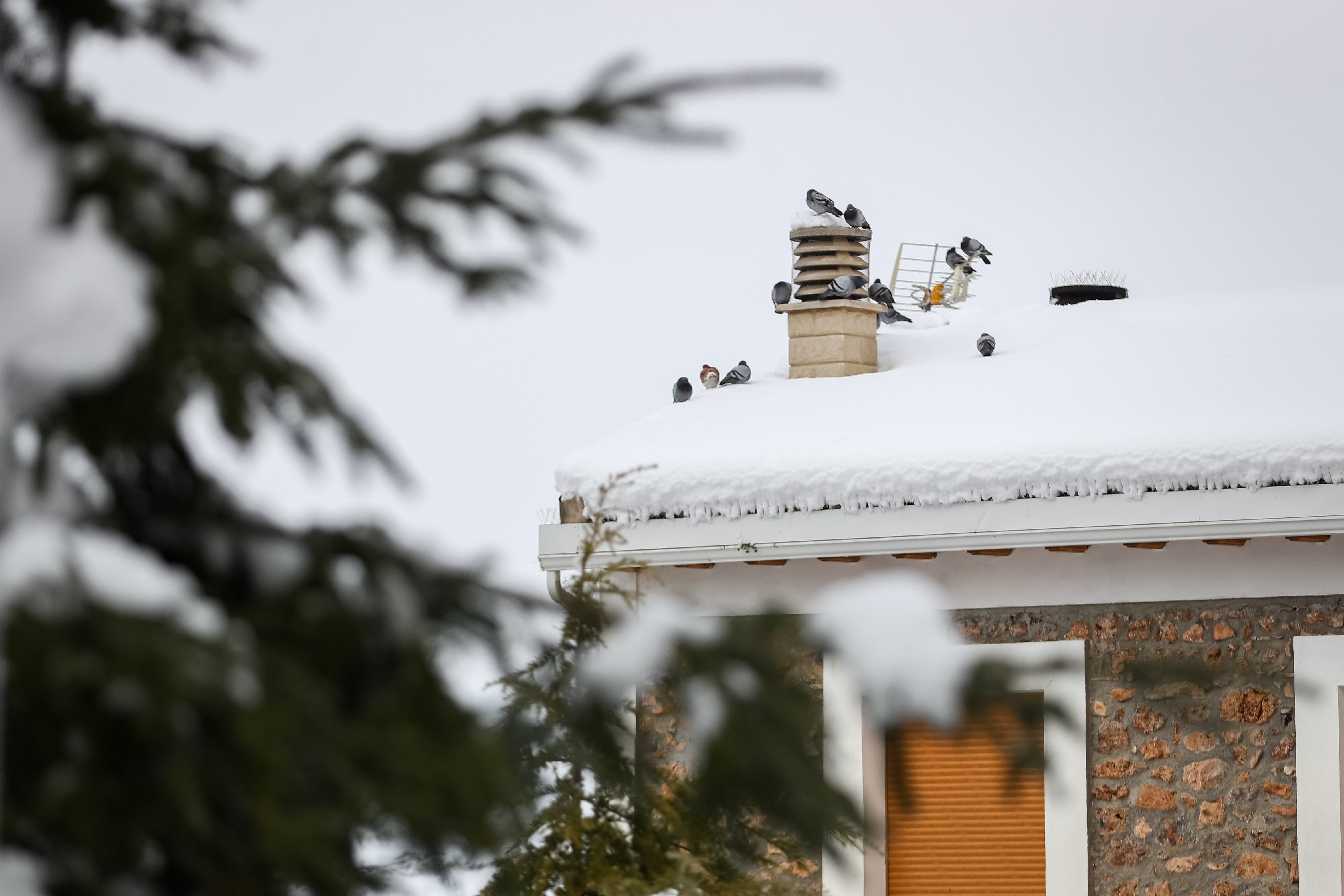 Son los propios vecinos los que arriman el hombro para abrir senderos en los muros de nieve,que ha dejado estampas para el recuerdo