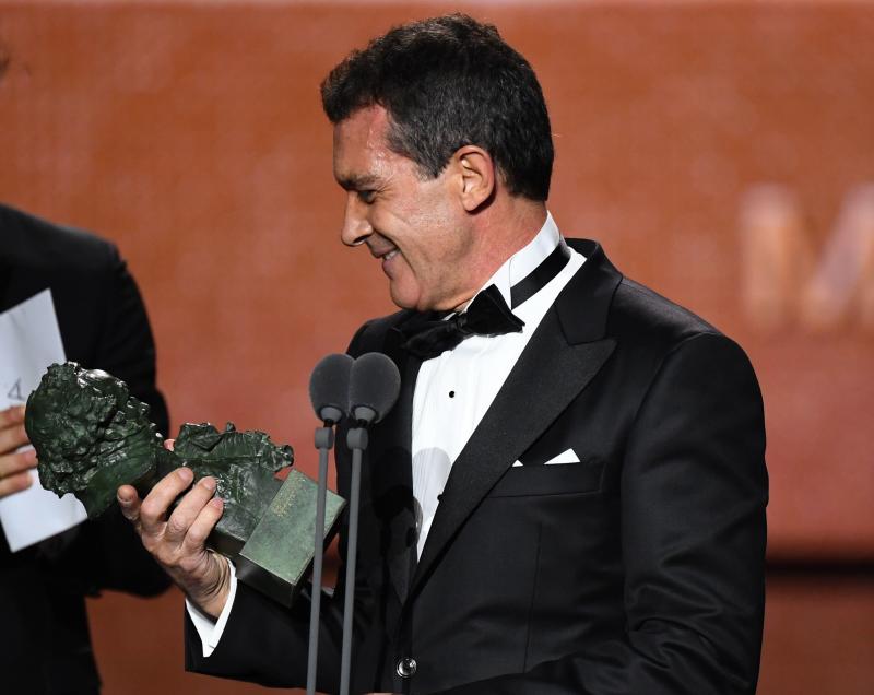 Antonio Banderas, mejor actor protagonista por 'Dolor y gloria'.