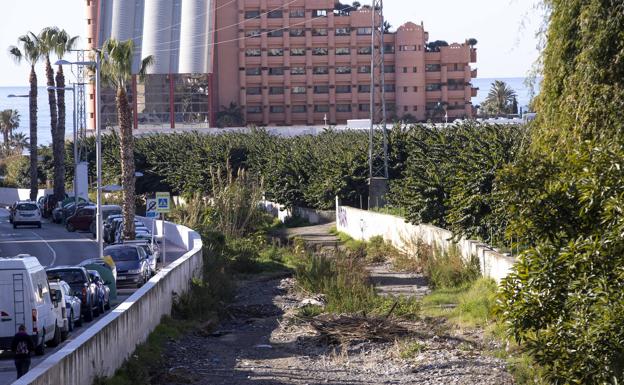 El cauce está lleno de cañaveras.