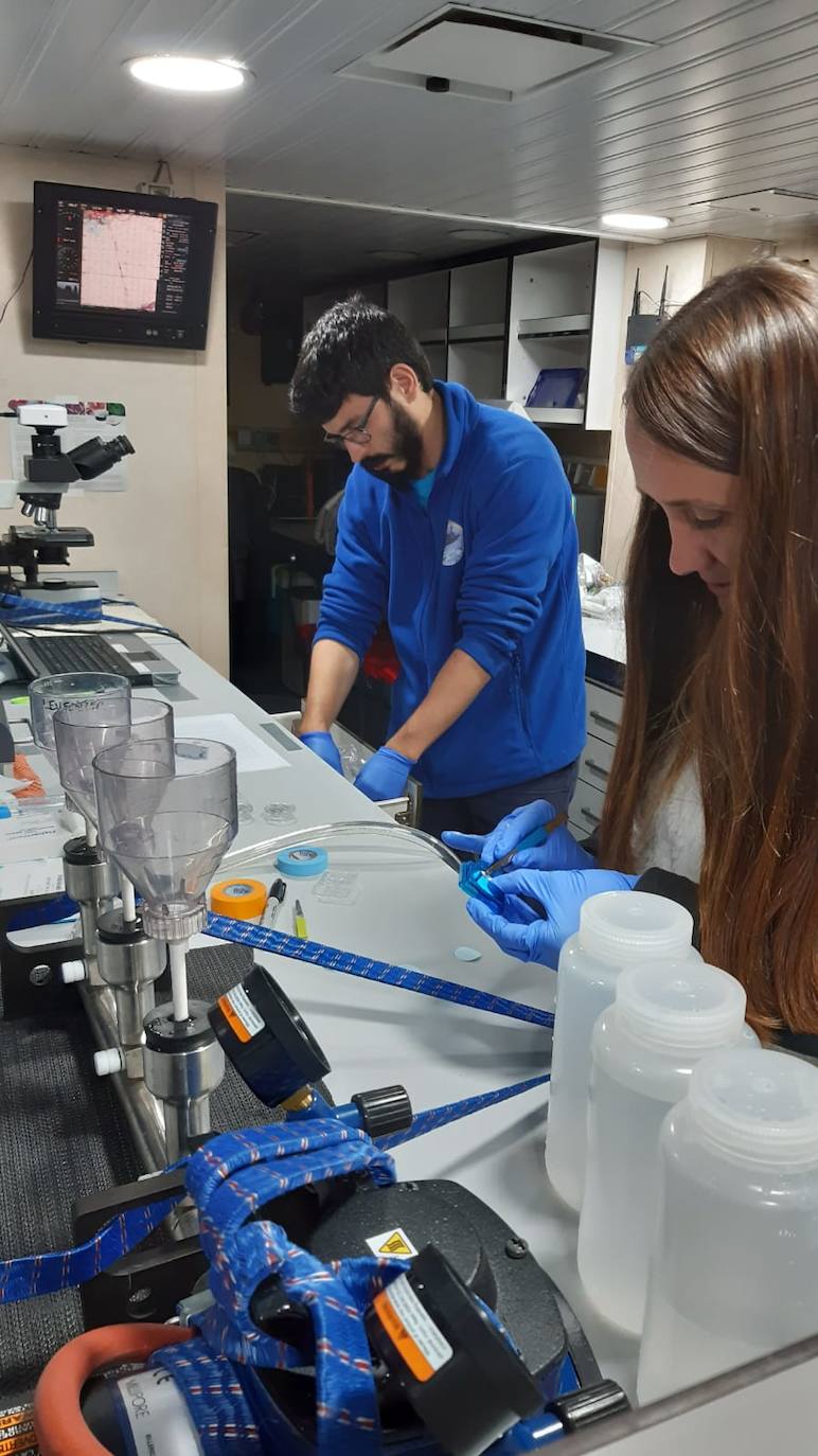 Trabajando en el laboratorio.