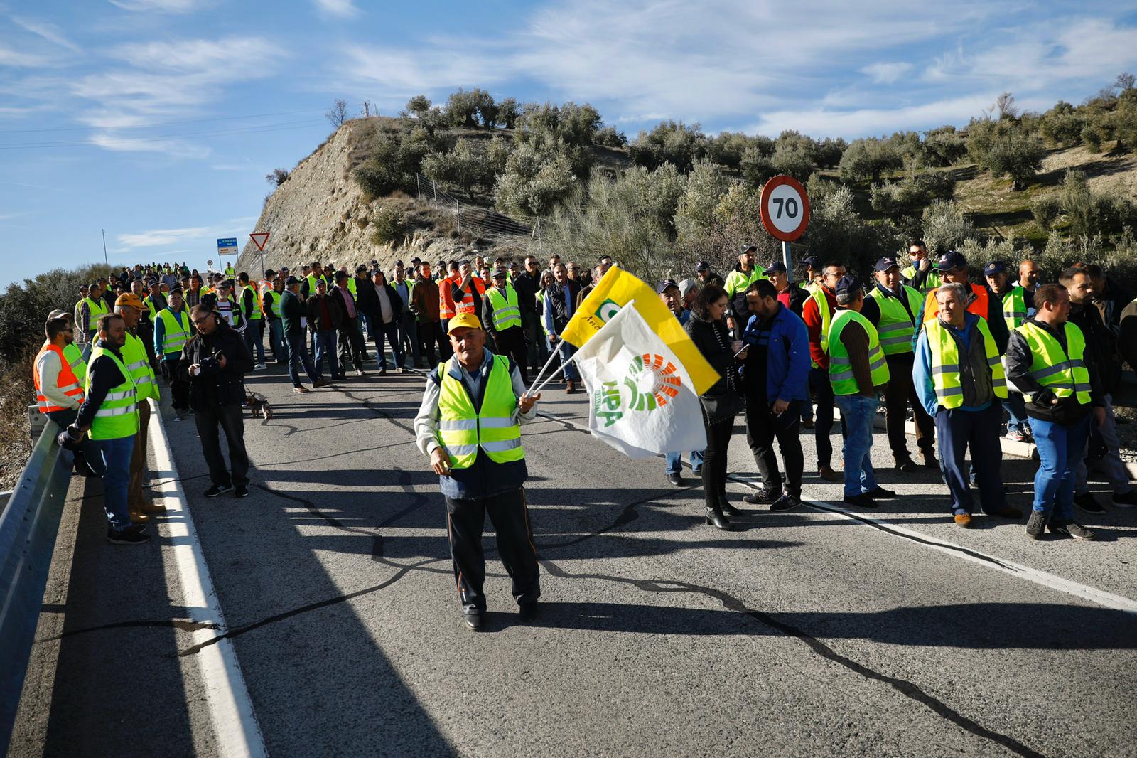 Miles de trabajadores del sector del olivar se han manifestado en toda la provincia de Jaén