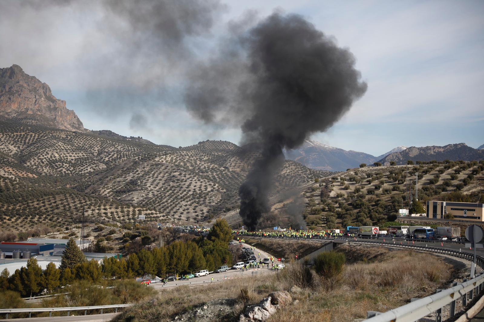 Miles de trabajadores del sector del olivar se han manifestado en toda la provincia de Jaén