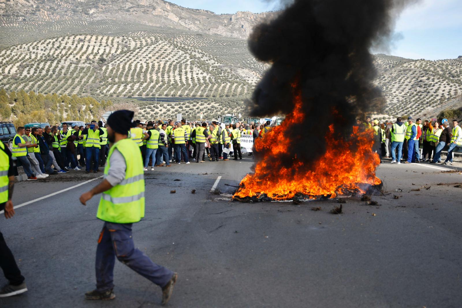 Miles de trabajadores del sector del olivar se han manifestado en toda la provincia de Jaén