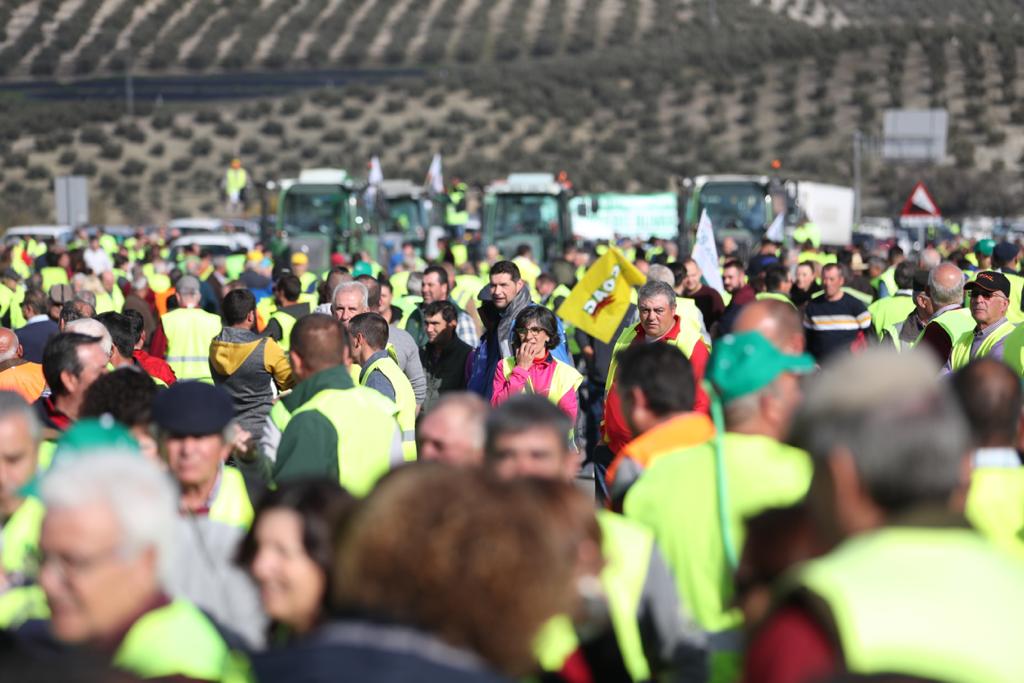 Miles de trabajadores del sector del olivar se han manifestado en toda la provincia de Jaén